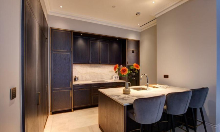 1 bedroom 1 bathroom The OWO Residences By Raffles, 5 Whitehall Court, London, SW1A